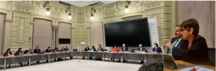 Isabel Álvarez ha participado como panelista en el XX Foro de Análisis Latinoamericano, organizado por el Banco de España y Mapfre, con una intervención sobre inversión extranjera directa en América Latina ante las tensiones geopolíticas